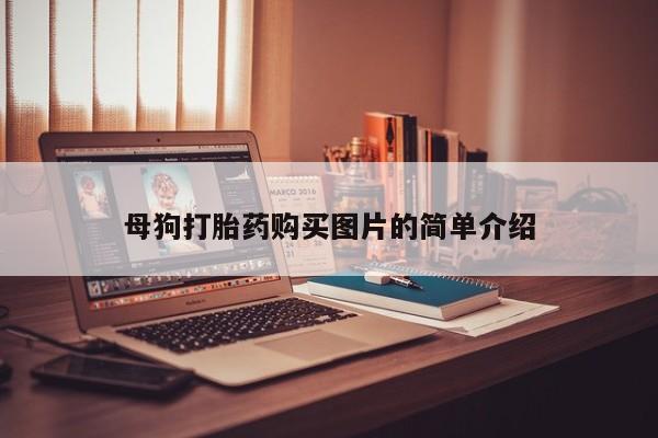 私人打胎药哪里买动态 第103页